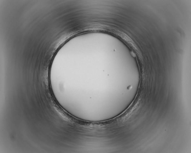 X0000113120842200909181647