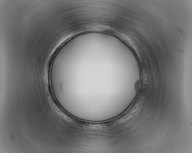 X0000113120843200909181647