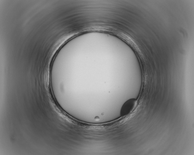 X0000113120844200909181647