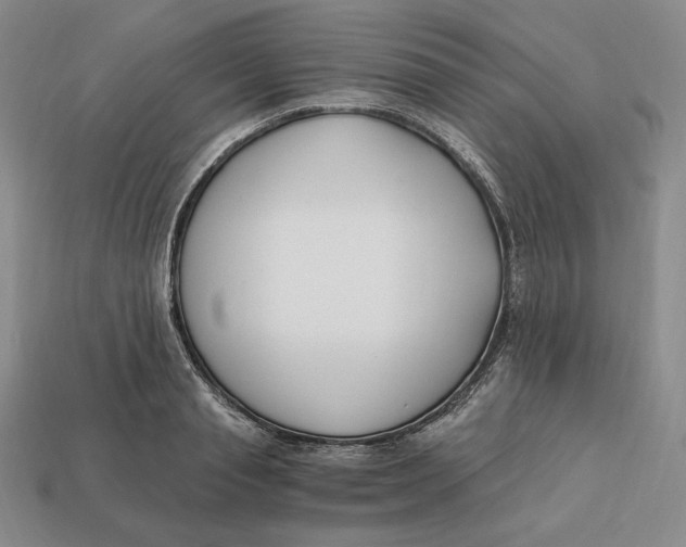 X0000113120845200909181647