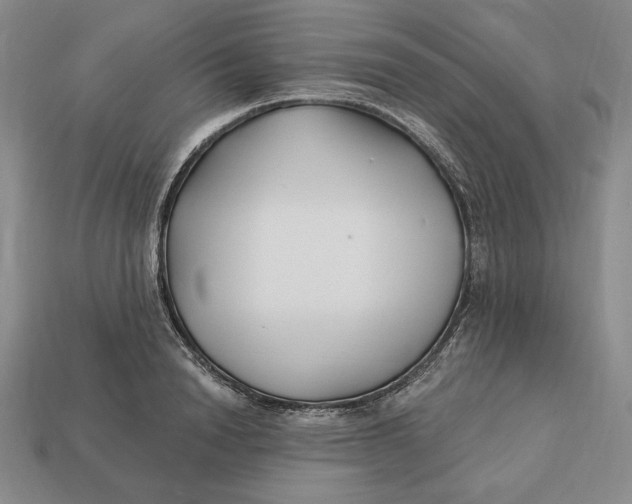 X0000113120846200909181647