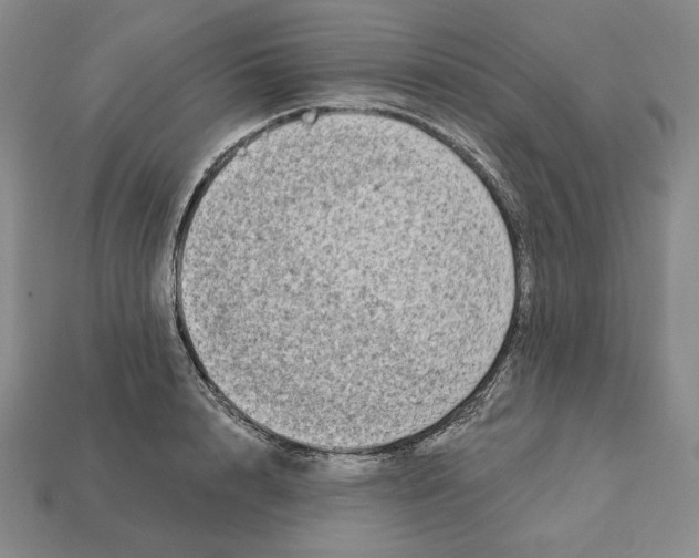 X0000113120848200909181647