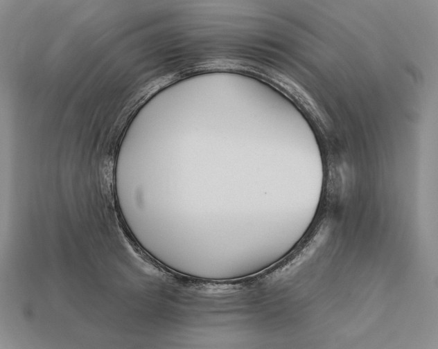 X0000113120849200909181647