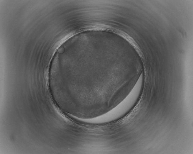 X0000113120850200909181647