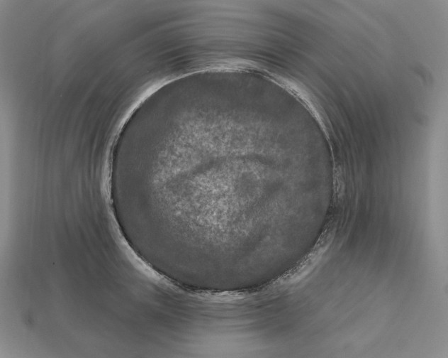 X0000113120851200909181647