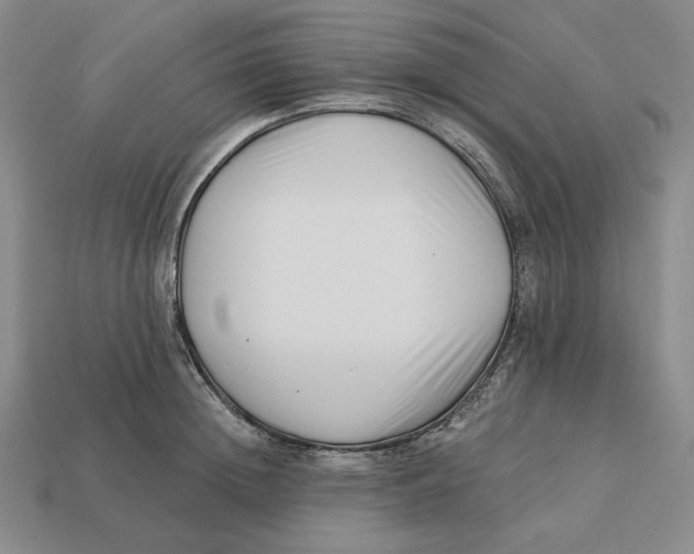 X0000113120852200909181647