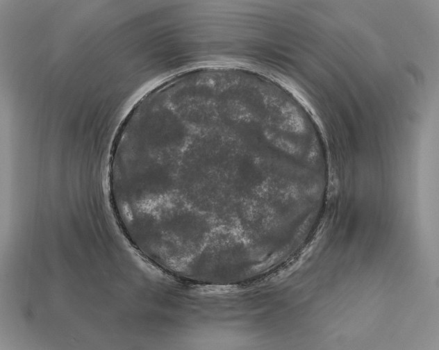 X0000113120853200909181647