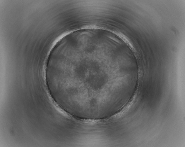 X0000113120854200909181647