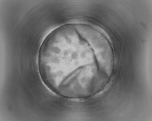 X0000113120855200909181647