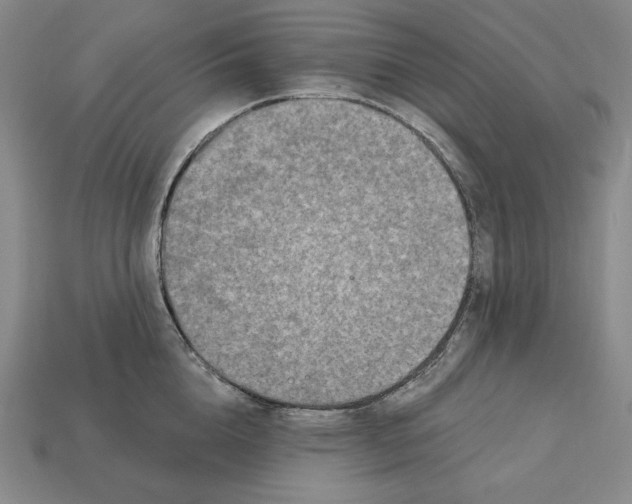 X0000113120856200909181647