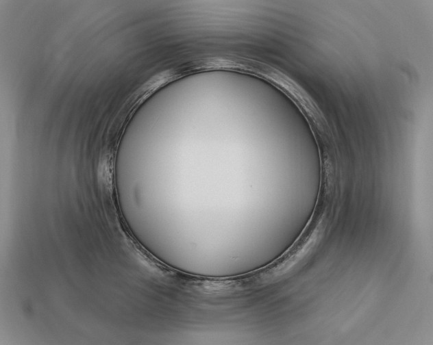 X0000113120857200909181647