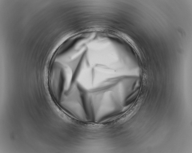 X0000113120859200909181647