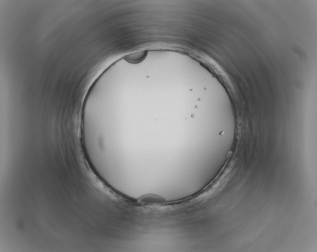 X0000113120860200909181647