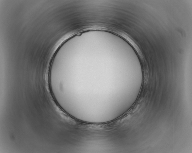 X0000113120861200909181647