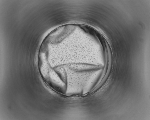 X0000113120862200909181647