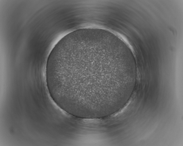 X0000113120863200909181647