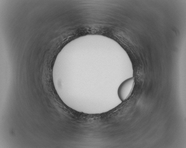 X0000113120865200909181647