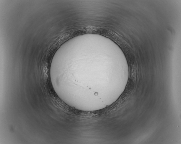 X0000113120866200909181646