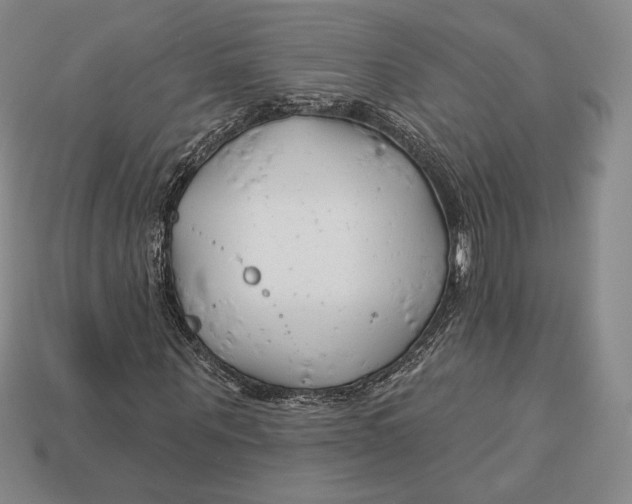 X0000113120867200909181646