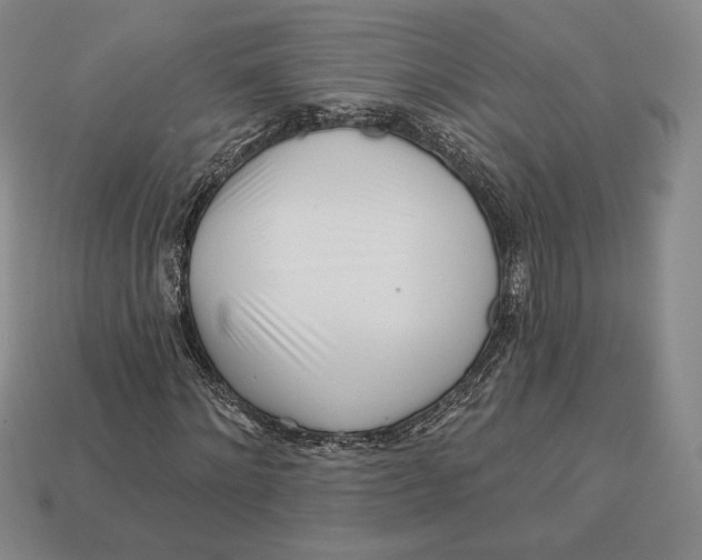 X0000113120868200909181646