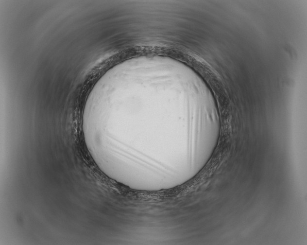 X0000113120870200909181646