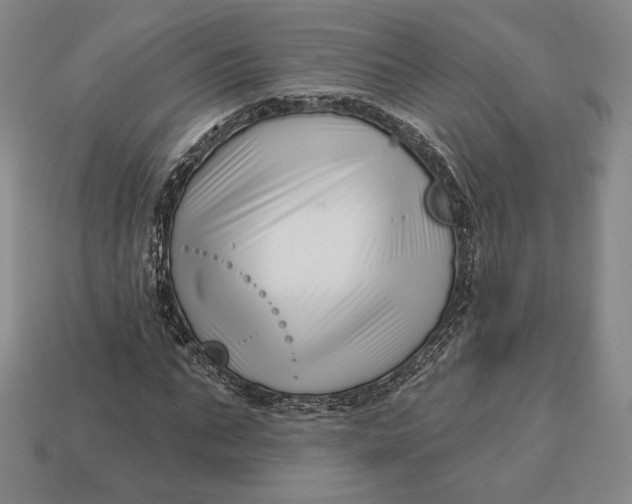 X0000113120871200909181646