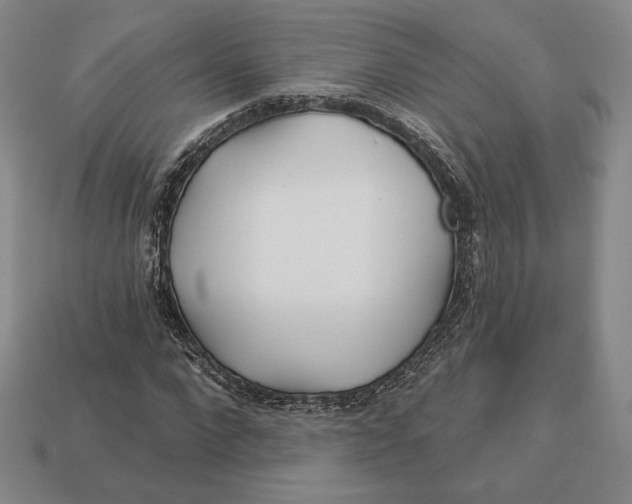 X0000113120872200909181646