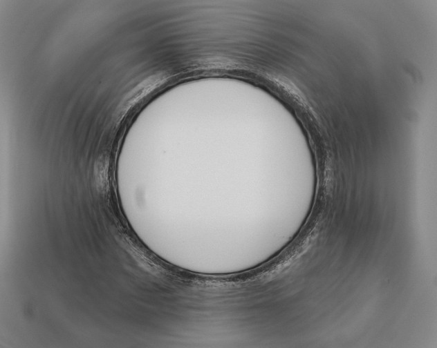 X0000113120873200909181646