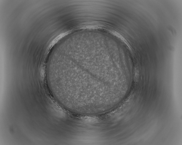 X0000113120874200909181646