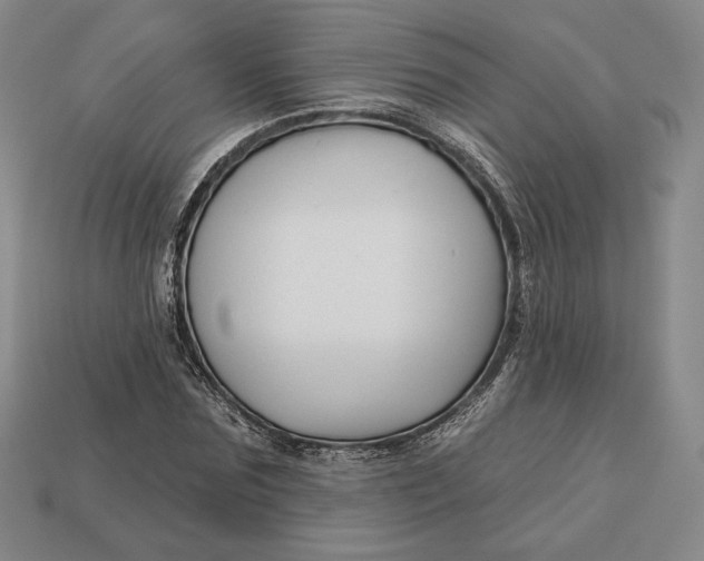 X0000113120875200909181646