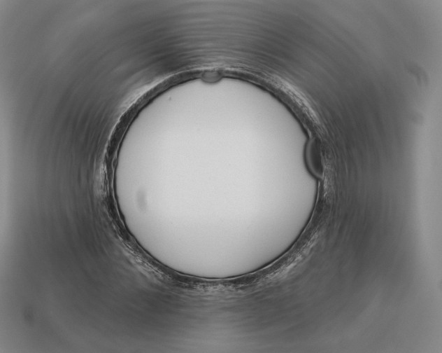 X0000113120876200909181646