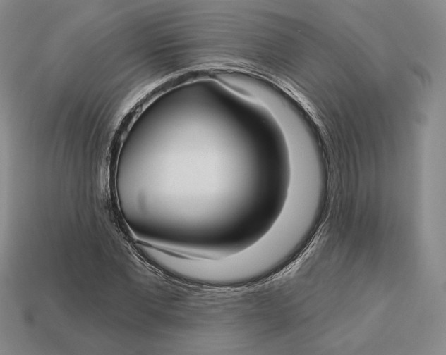 X0000113120877200909181646