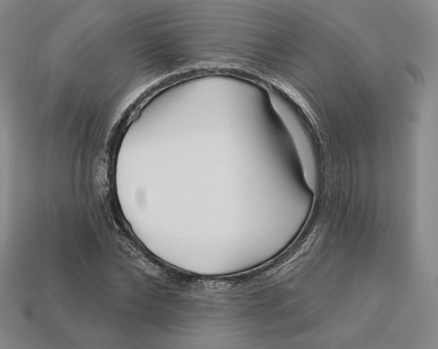 X0000113120878200909181646