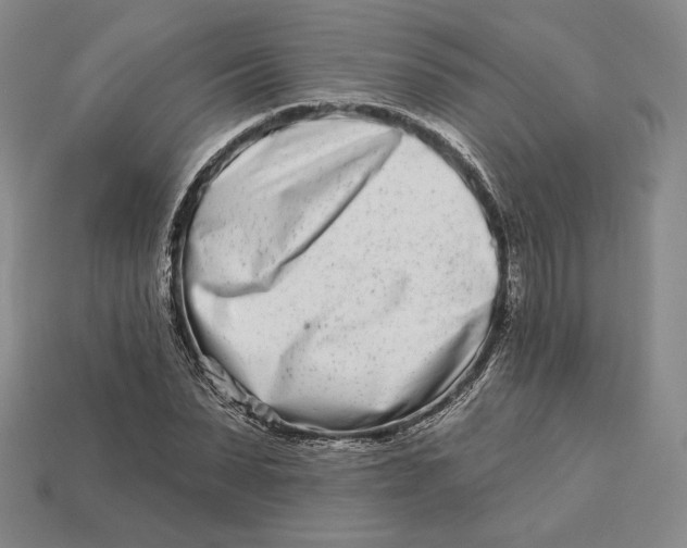 X0000113120879200909181646