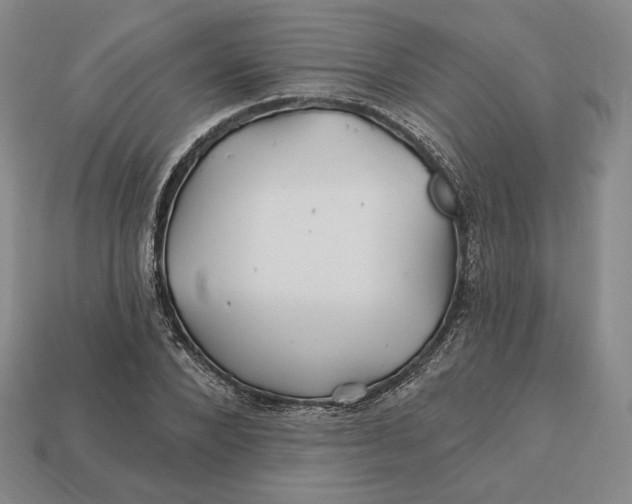 X0000113120880200909181646