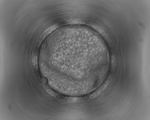 X0000113120881200909181646