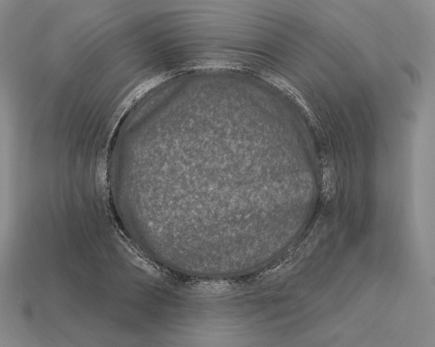 X0000113120882200909181646