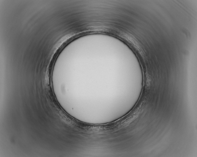 X0000113120883200909181646