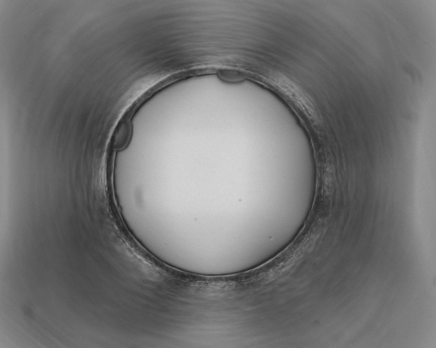 X0000113120884200909181646