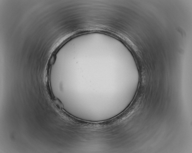 X0000113120885200909181646