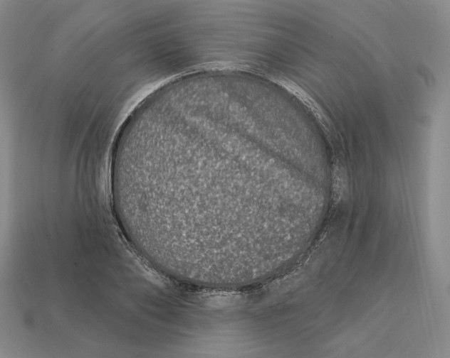 X0000113120886200909181646