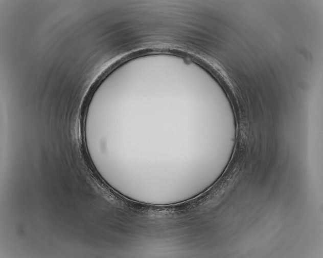 X0000113120887200909181646