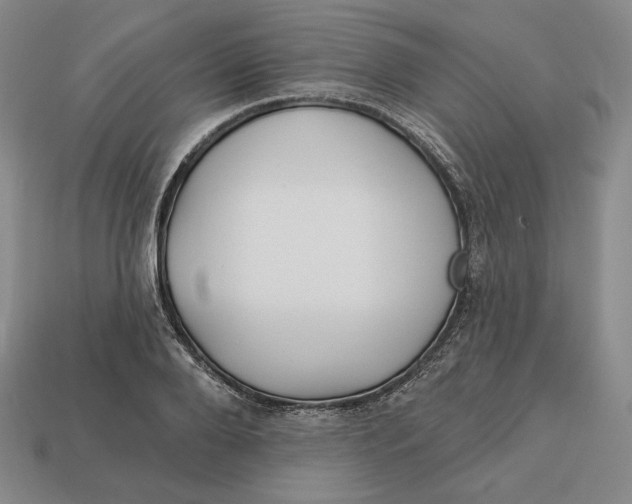 X0000113120888200909181646