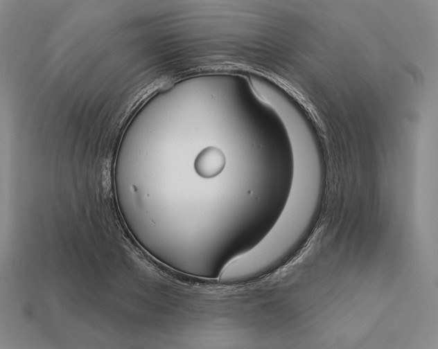 X0000113120889200909181646