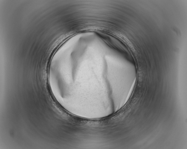 X0000113120890200909181646