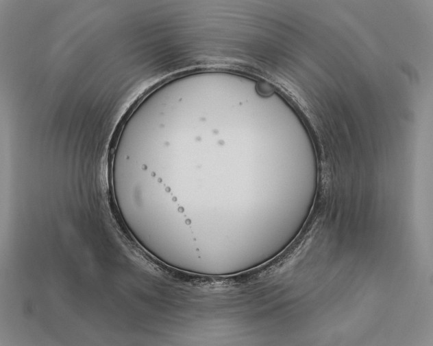 X0000113120891200909181646