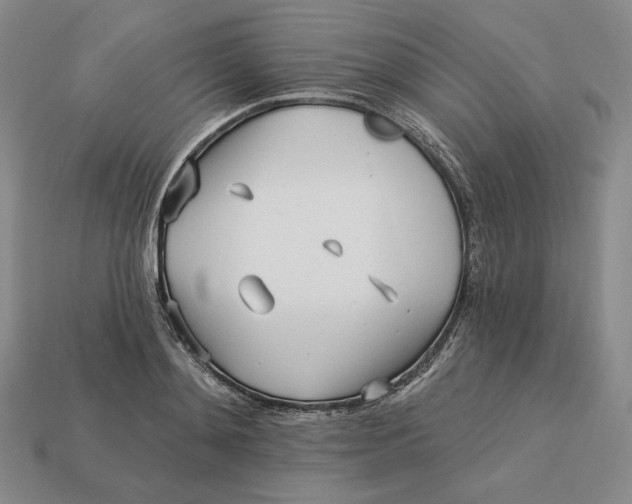 X0000113120892200909181646