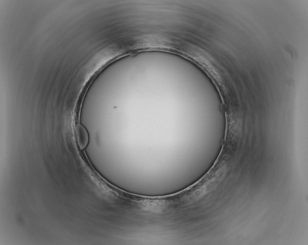 X0000113120893200909181646