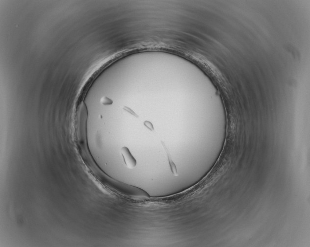 X0000113120894200909181646