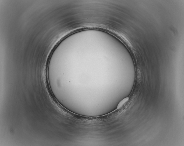 X0000113120895200909181646